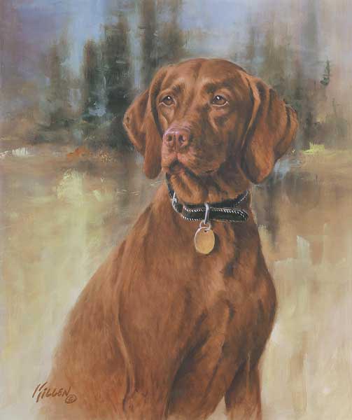 503x600 Wildlife Art Prints Plus Original Paintings With A Wide Selection - Vizsla Painting