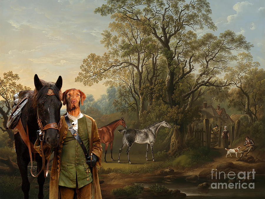 900x674 Wirehaired Vizsla - Vizsla Painting