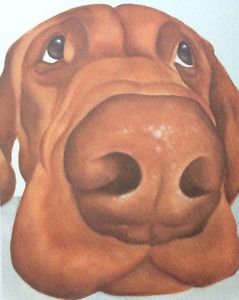 239x300 Vizsla Painting Fine Art Giclee Print Ebay - Vizsla Painting