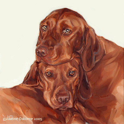 400x400 Dog Art By Paintmydog - Vizsla Painting