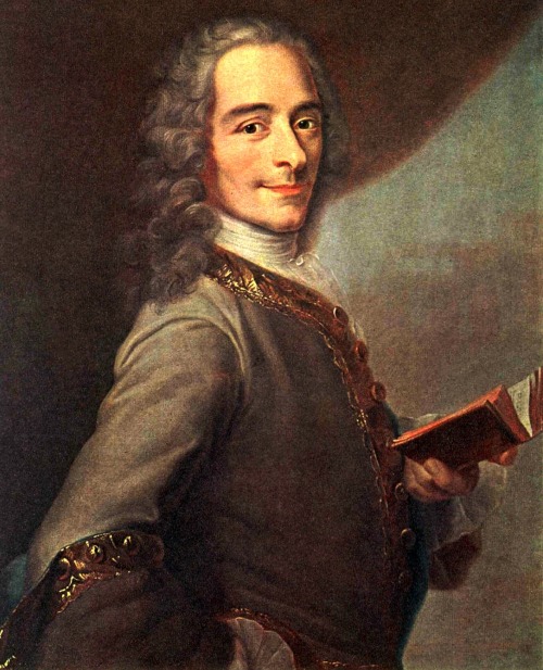 500x617 Painting Submission History History Crushes Voltaire - Voltaire Painting