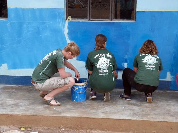 600x450 Volunteer And Intern In Tanzania Projects Abroad - Volunteer Painting