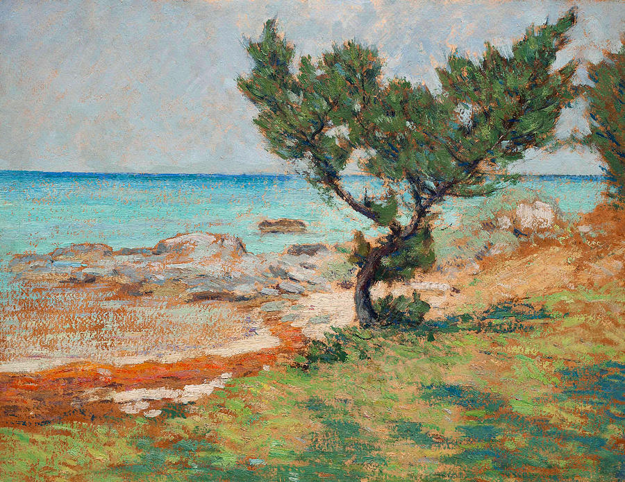 900x695 Single Tree On Ireland Island Painting By Clark Voorhees - Voorhees Painting