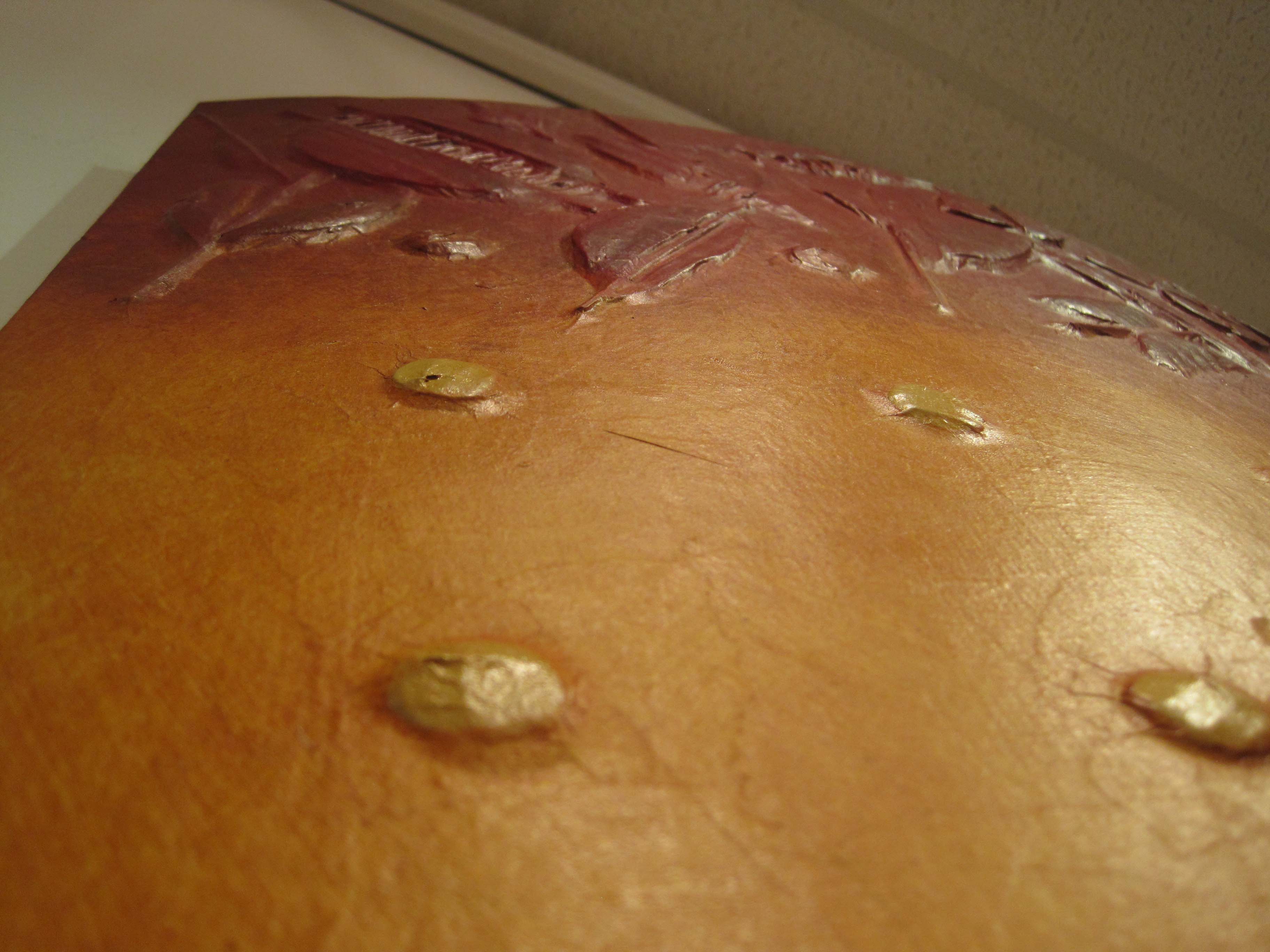 3648x2736 Ronald Mevs Shield V Painting Close Up - Vpainting