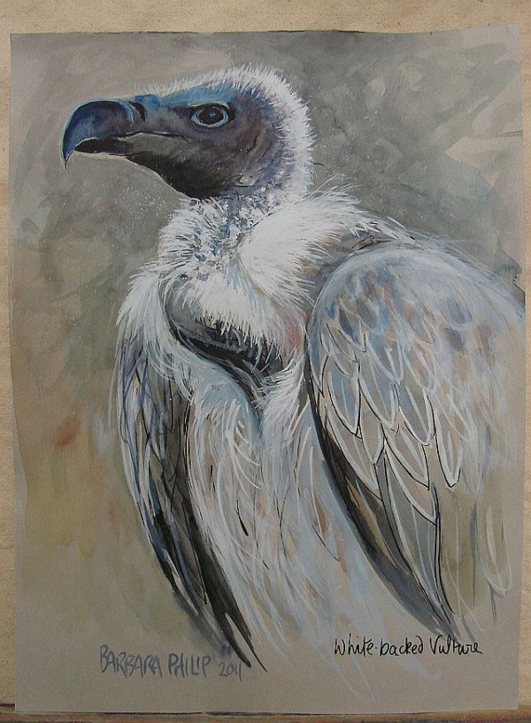 600x817 Old World Vulture Visions Barbara Philip - Vulture Painting
