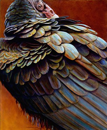 366x442 Turkey Vulture - Vulture Painting