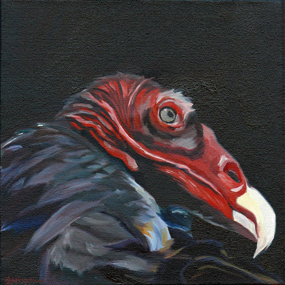 570x570 Turkey Vulture Fine Art Painting - Vulture Painting