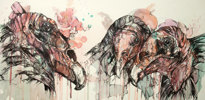 800x390 Turkey Vulture Painting! - Vulture Painting