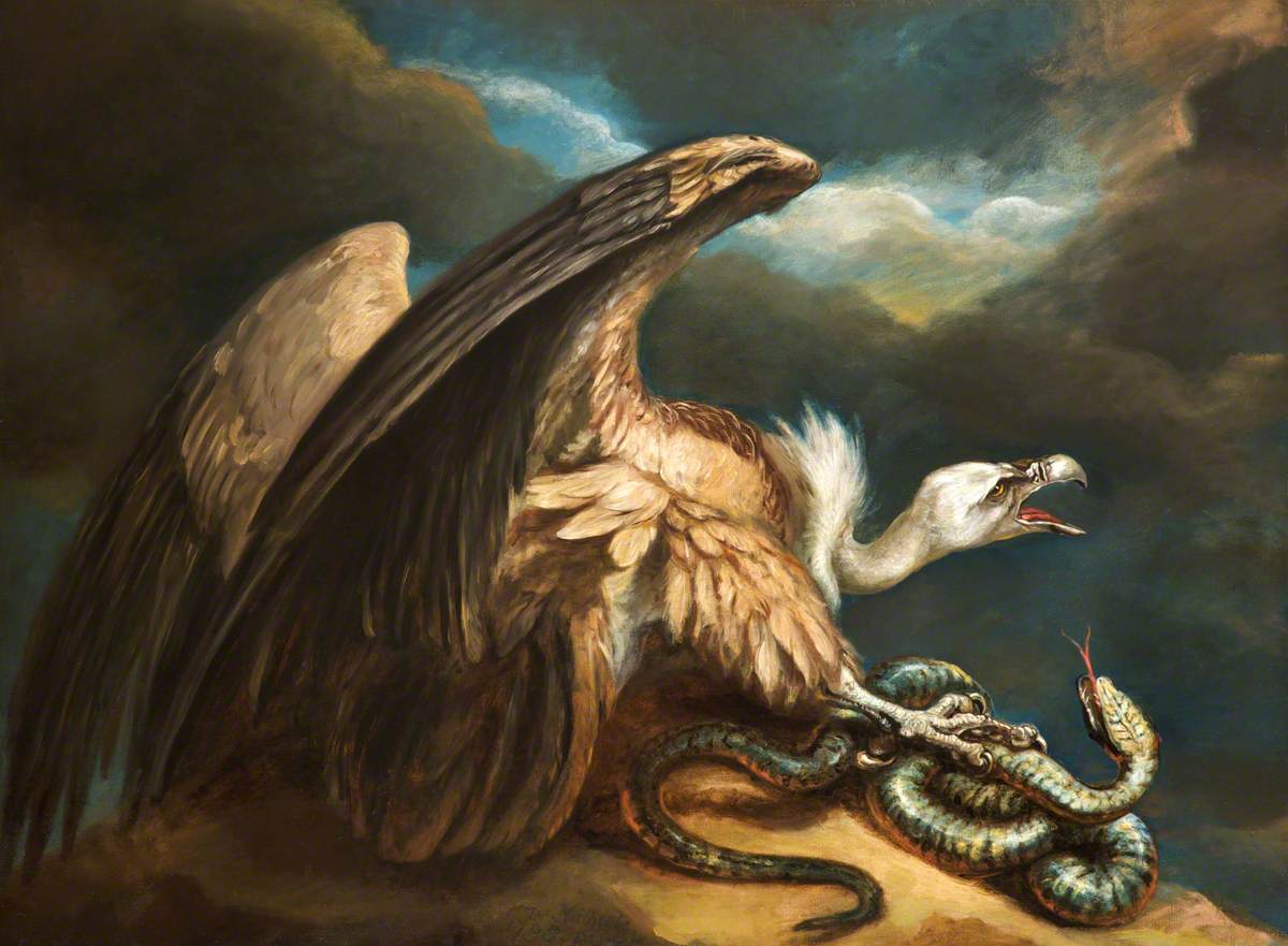 1200x881 Vulture And Snake Art Uk - Vulture Painting