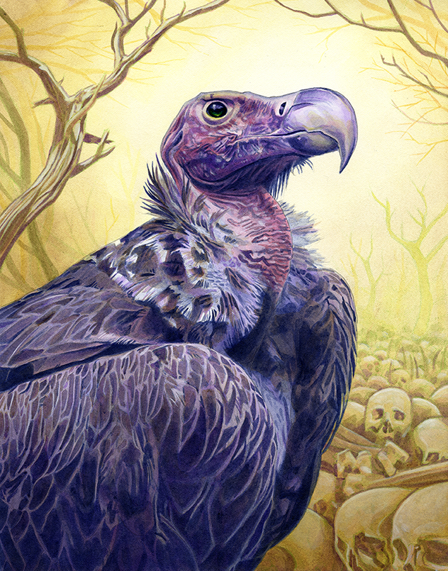 632x806 Vulture By Alanpaints - Vulture Painting