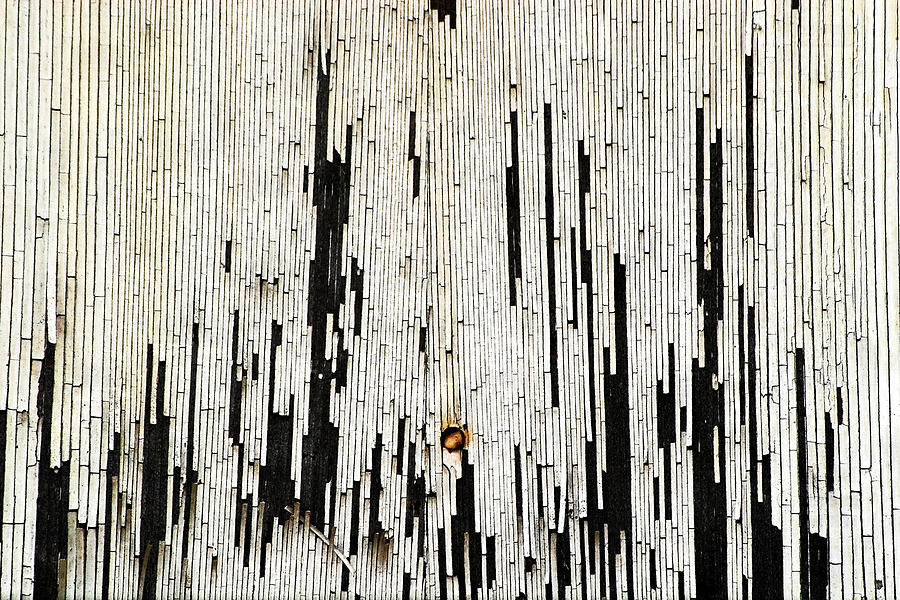 900x600 Wabi Sabi Paint Photograph By Michael Fiorella - Wabi Sabi Painting