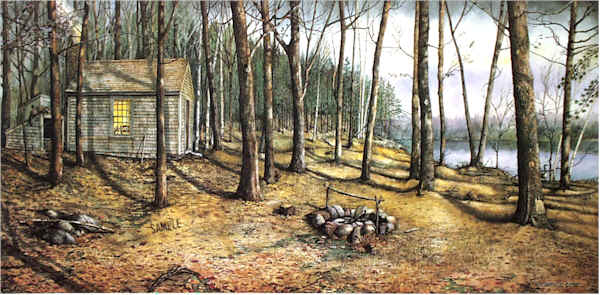 600x295 Woodland Visitors Co Signed By Don Henley The Walden Woods Project - Walden Painting