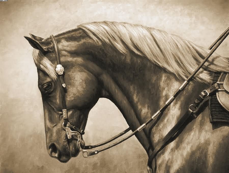 900x679 Western Black Horse Wall Painting - Wall Painting With Horses