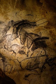 236x354 Horse Heads On The Wall Of Chauvet Cave, France - Wall Painting With Horses Chauvet Cave