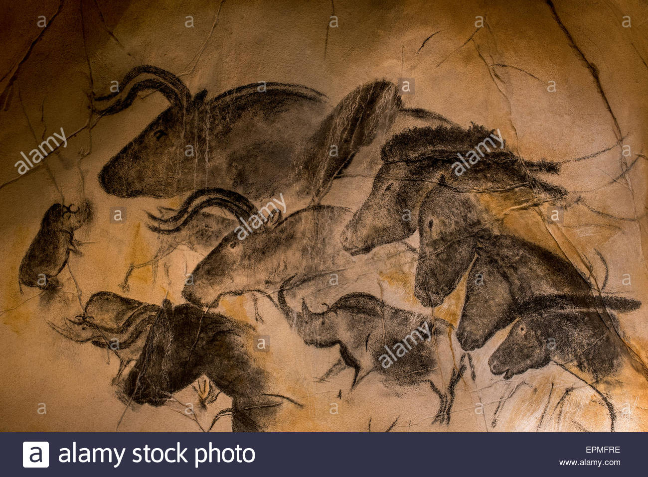 1300x958 Replica Of Prehistoric Rock Paintings Of The Chauvet Cave, - Wall Painting With Horses Chauvet Cave