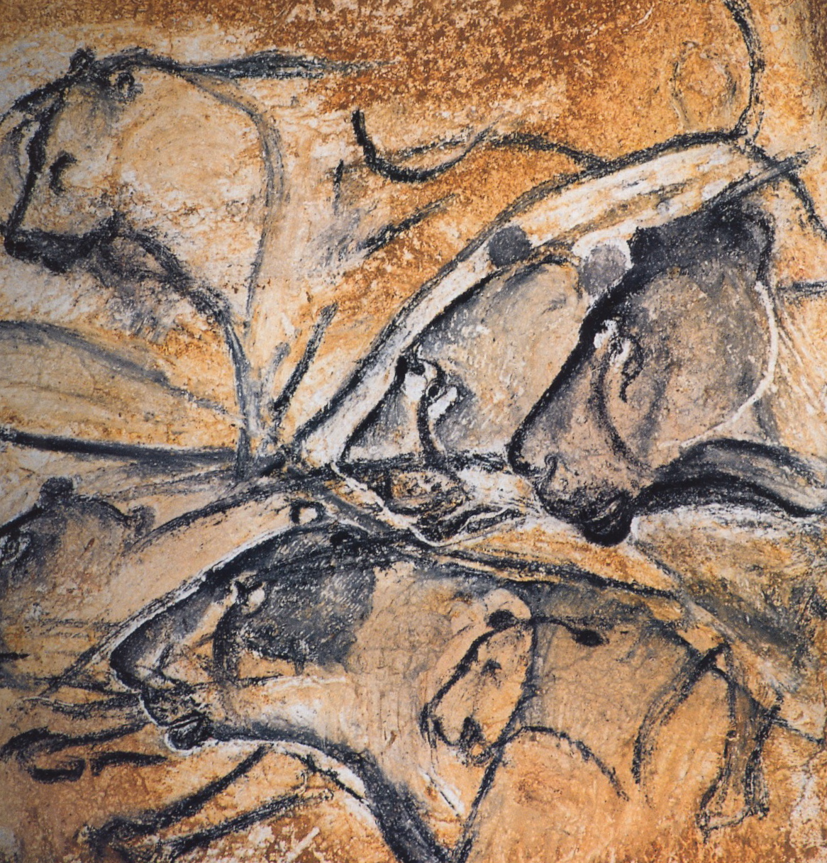 1166x1217 What Inspired Me About Cave Paintings Real Estate Arts - Wall Painting With Horses Chauvet Cave