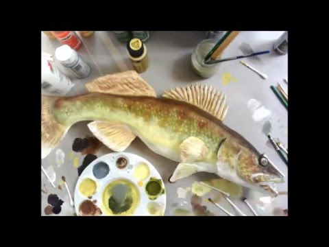 480x360 Painting My Walleye Sculpture - Walleye Painting