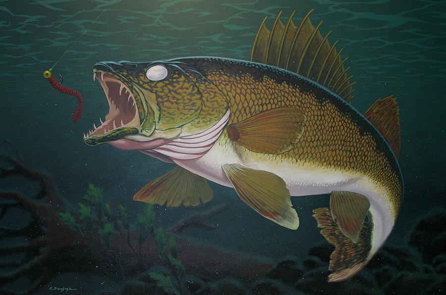 900x596 Walleye Fishing Painting By Kevin Breyfogle - Walleye Painting