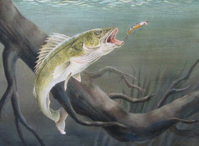 400x294 Walleye Paintings - Walleye Painting