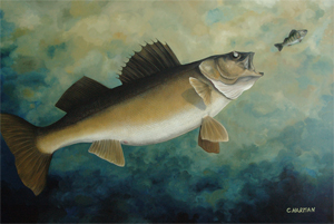 300x201 Fish Art And Fish Paintings - Walleye Painting
