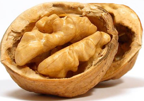 470x332 Walnut Oil In Painting The Art Treehouse - Walnut Painting