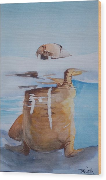 366x618 Walrus Painting By Teresa Smith - Walrus Painting