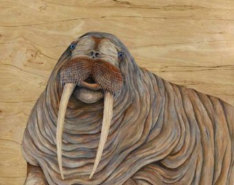 340x270 Walrus Art Print Kid's Room Animal Art Artwork By Skee - Walrus Painting