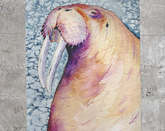 340x270 Walrus Painting Etsy - Walrus Painting