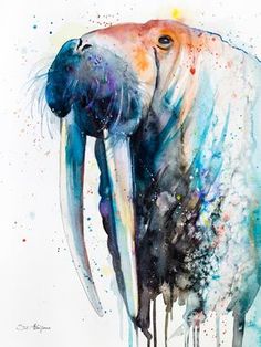 236x314 Newest Illustration Done For @wojophotographics - Walrus Painting
