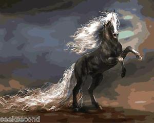 300x240 Framed Paint By Number Kit Black Steed War Horse Wild Horse - War Horse Painting