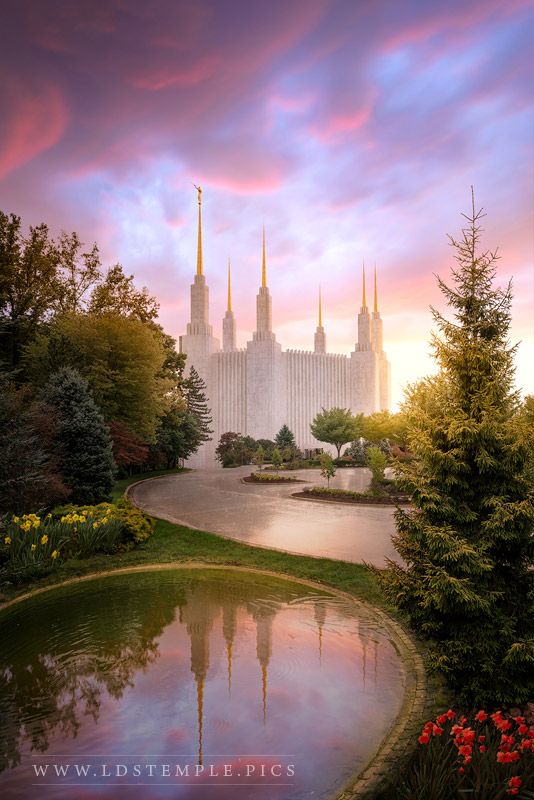 534x800 Washington Dc Temple Reflections Into Eternity - Washington Dc Temple Painting