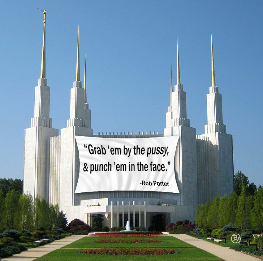 850x841 Anti Rob Porter Art Installation On Mormon's Washington D.c. - Washington Dc Temple Painting