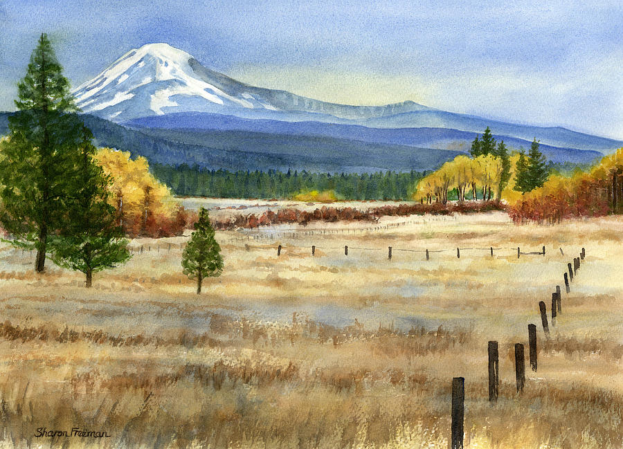 900x649 Mount Adams Painting By Sharon Freeman - Washington State Painting