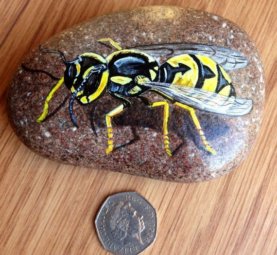 570x524 Wasp Painted On Rock Wasp, Rock And Rock Painting - Wasp Painting