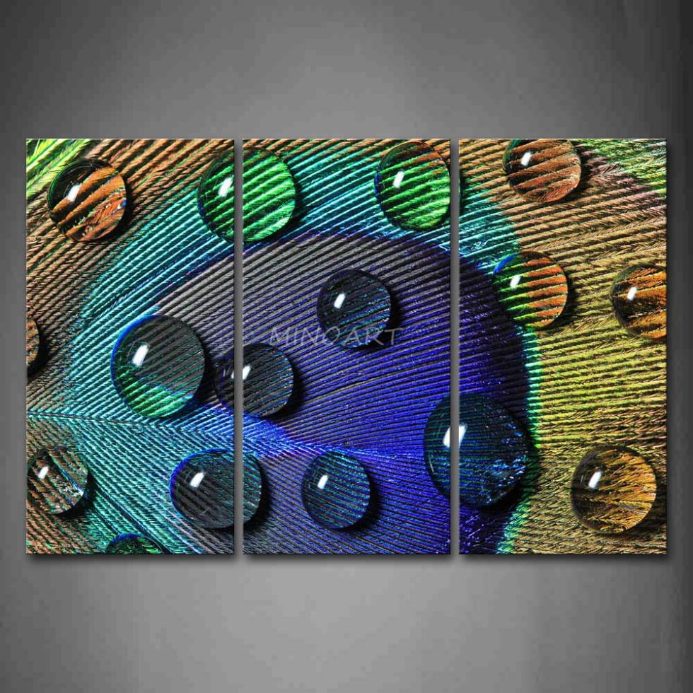 980x980 3 Piece Wall Art Painting Water Drops On The Feather Of Peacock - Water Drop Painting