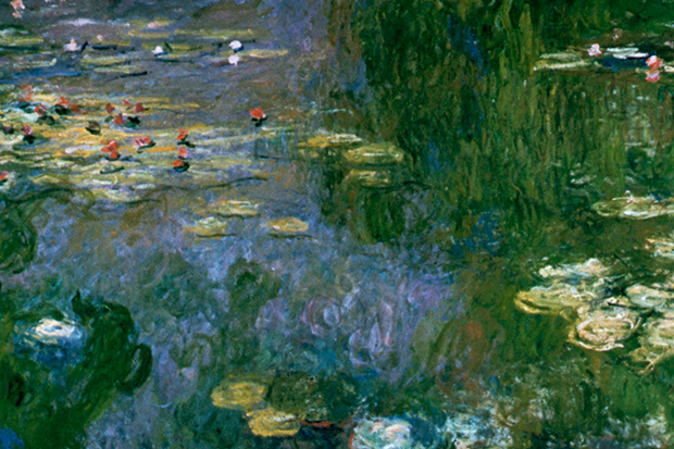 620x413 Monet's Water Lilies His Great War Gift To France The Spectator - Water Lilies Painting