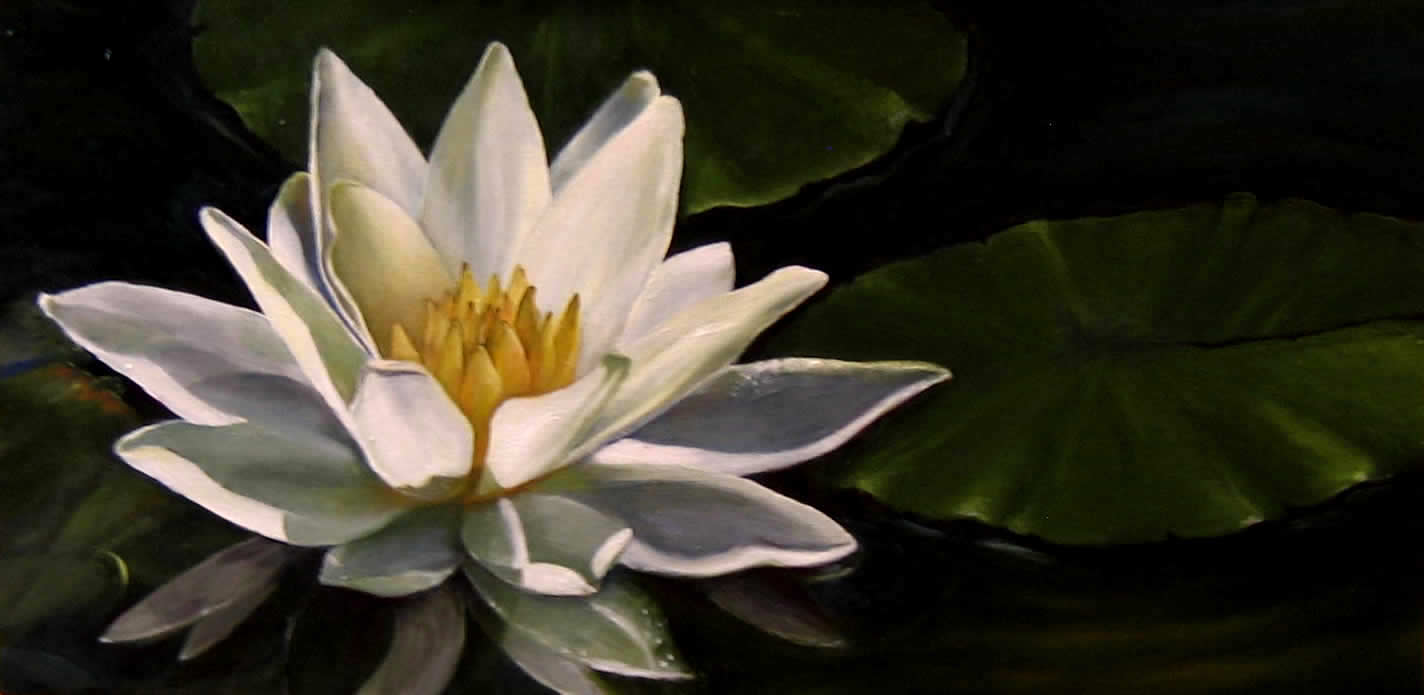 1424x695 Joann Mcneely Painting Plus Painting Gallery - Water Lily Oil Painting