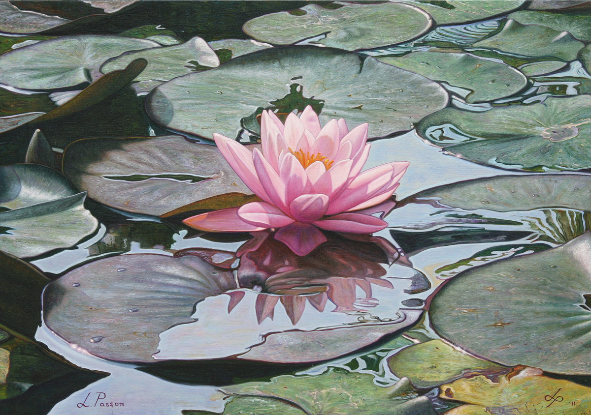 1200x844 Landscapes - Water Lily Oil Painting
