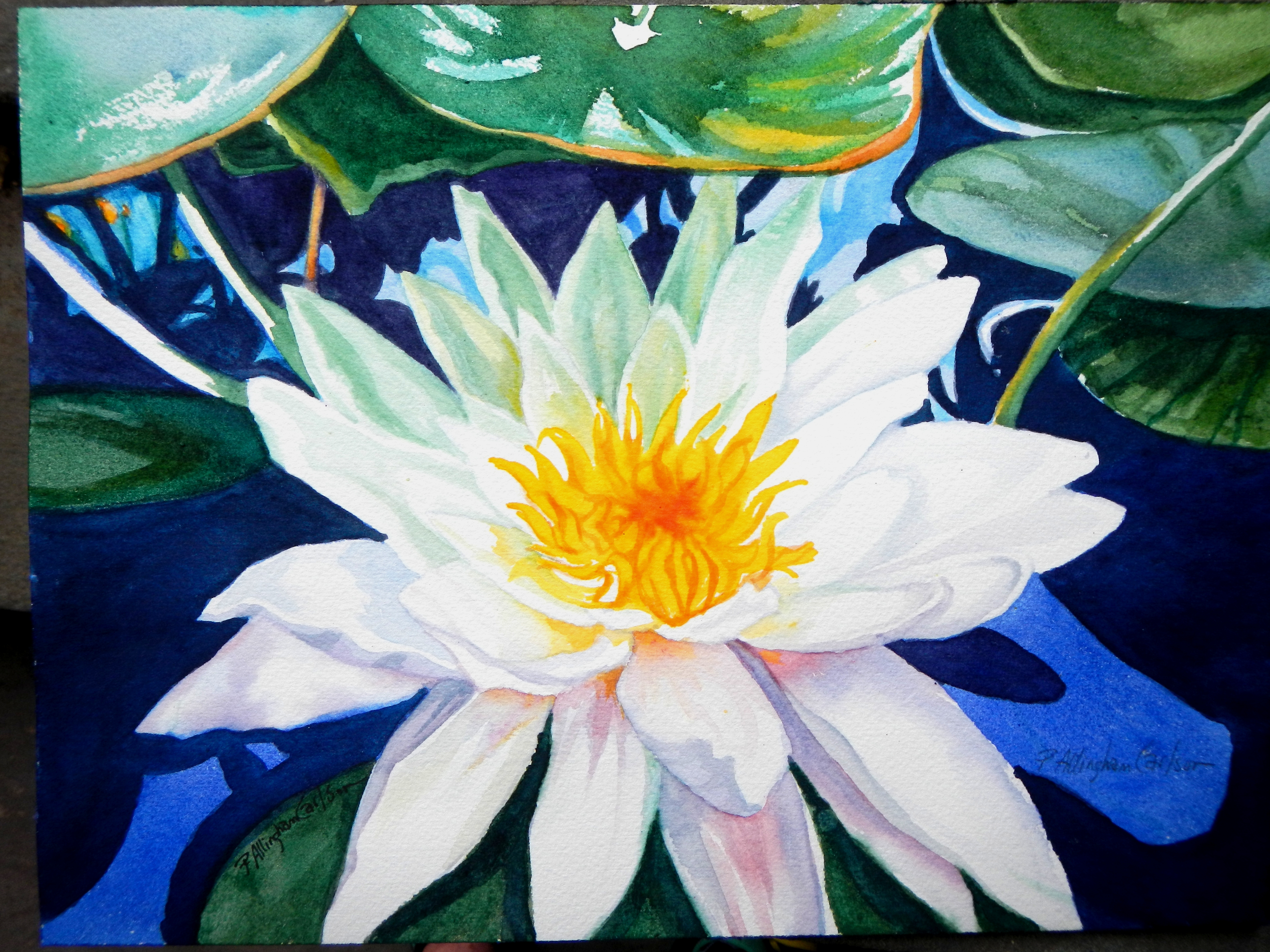 Water Lily Watercolor Painting at PaintingValley.com | Explore ...