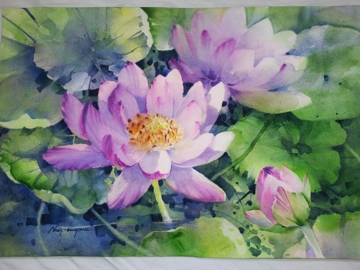 736x552 The 158 Best Art Flowers Lotos Images On Lotus Flowers - Water Lily Watercolor Painting