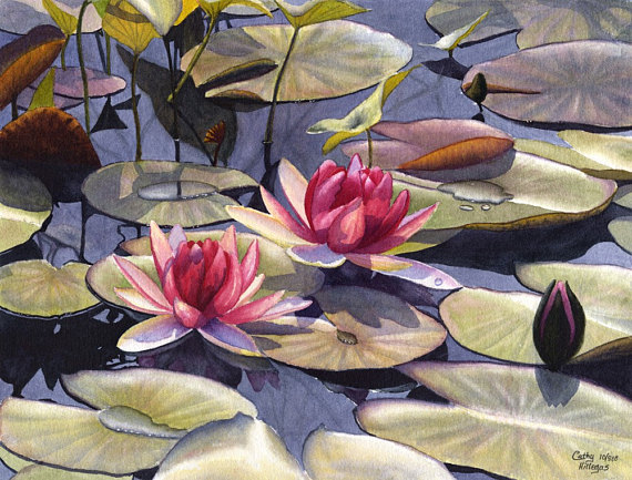 570x433 Water Lily Art Watercolor Painting Print By Cathy - Water Lily Watercolor Painting