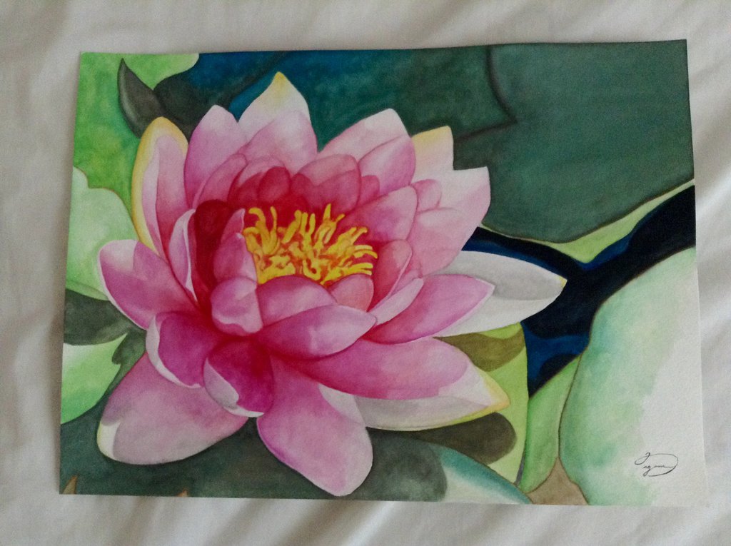 1024x765 Watercolor Water Lily By Heyoitsdarlene - Water Lily Watercolor Painting