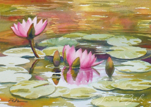 600x426 Zeh Original Art Blog Watercolor And Oil Paintings Waterlilies - Water Lily Watercolor Painting