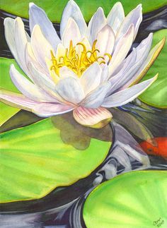 236x323 Water Lily Watercolor, Acrylic - Water Lily Watercolor Painting