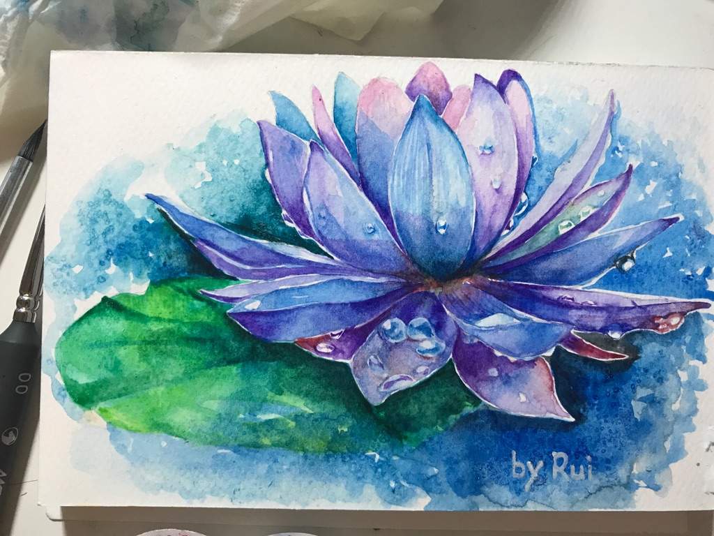 1024x768 Water Lily Watercolour Art Amino - Water Lily Watercolor Painting