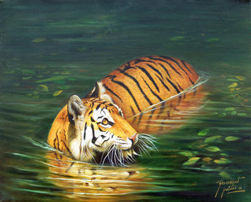 360x290 Indian Tiger Swimming In Water Painting - Water Painting