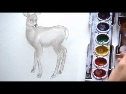 480x360 How To Draw And Paint A Deer In Watercolor - Water Painting A Buck