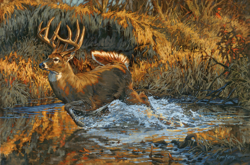 800x529 Ryan Kirby Art View All Original Oil Paintings - Water Painting A Buck