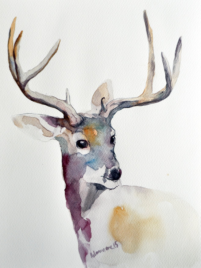 658x875 Collection Of Winter Deer Drawing High Quality, Free - Water Painting A Buck