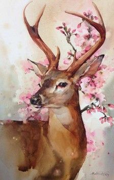 224x351 31 Best Watercolor Deer Images On Deer, Watercolor - Water Painting A Buck